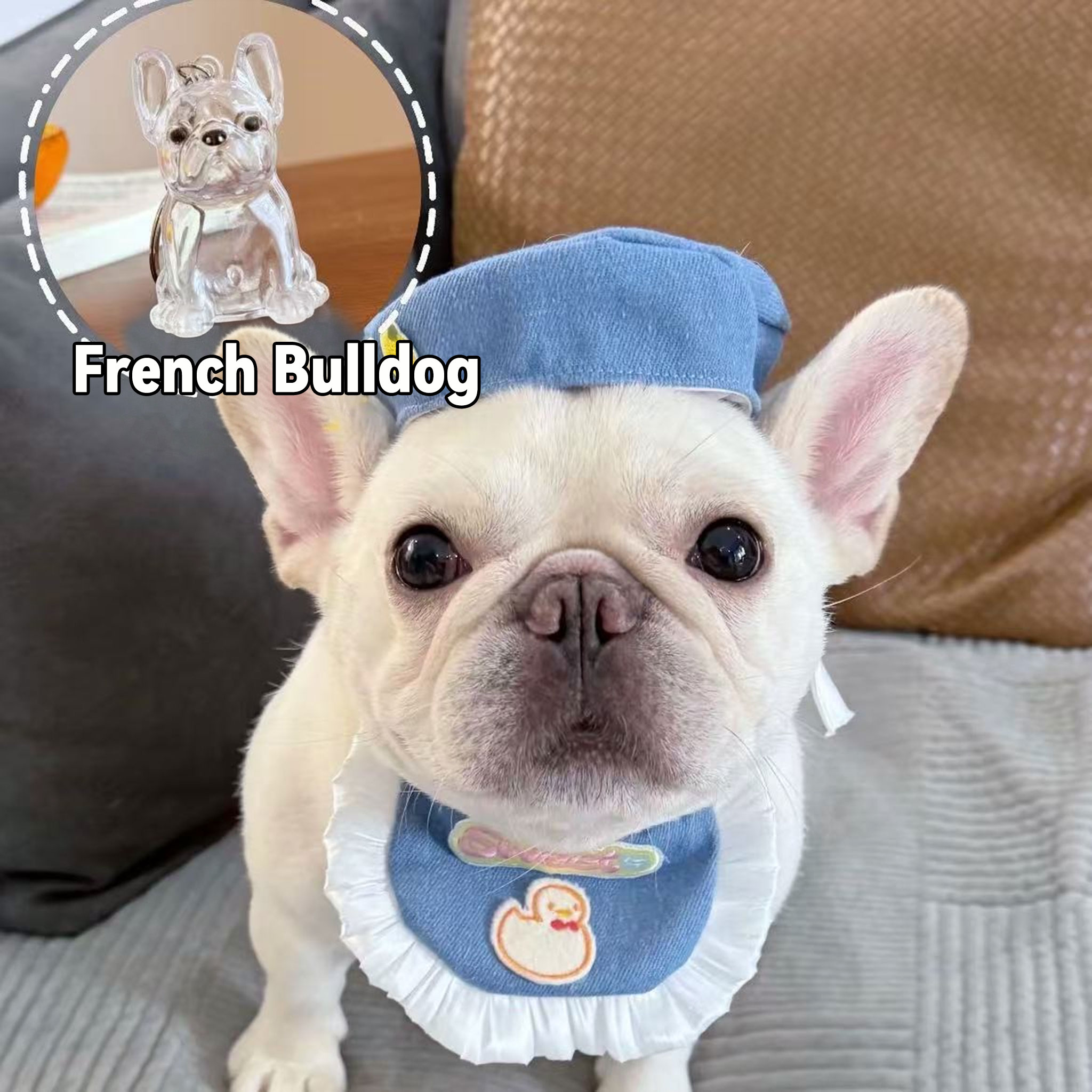 Pet Hair Commemorative Keychain Pendant Cute Dog Transparent Hair Collection Large Dog Shape Creative Keychain-