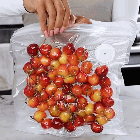 Reusable vacuum bags