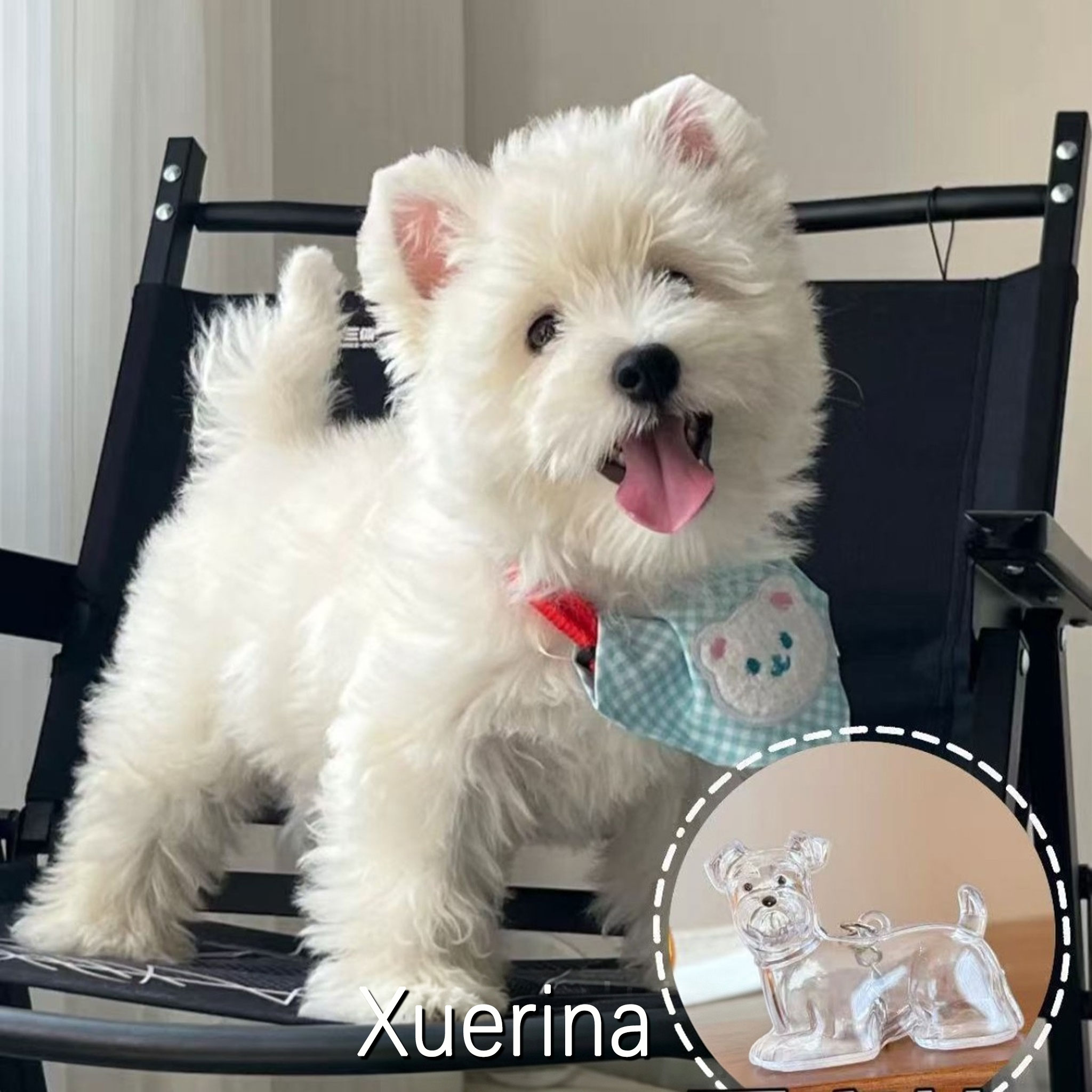 Pet Hair Commemorative Keychain Pendant Cute Dog Transparent Hair Collection Large Dog Shape Creative Keychain-