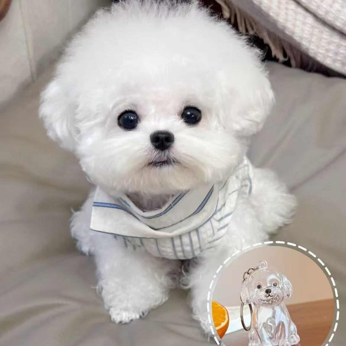 Pet Hair Commemorative Keychain Pendant Cute Dog Transparent Hair Collection Large Dog Shape Creative Keychain-
