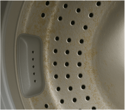 Pet Odor Before