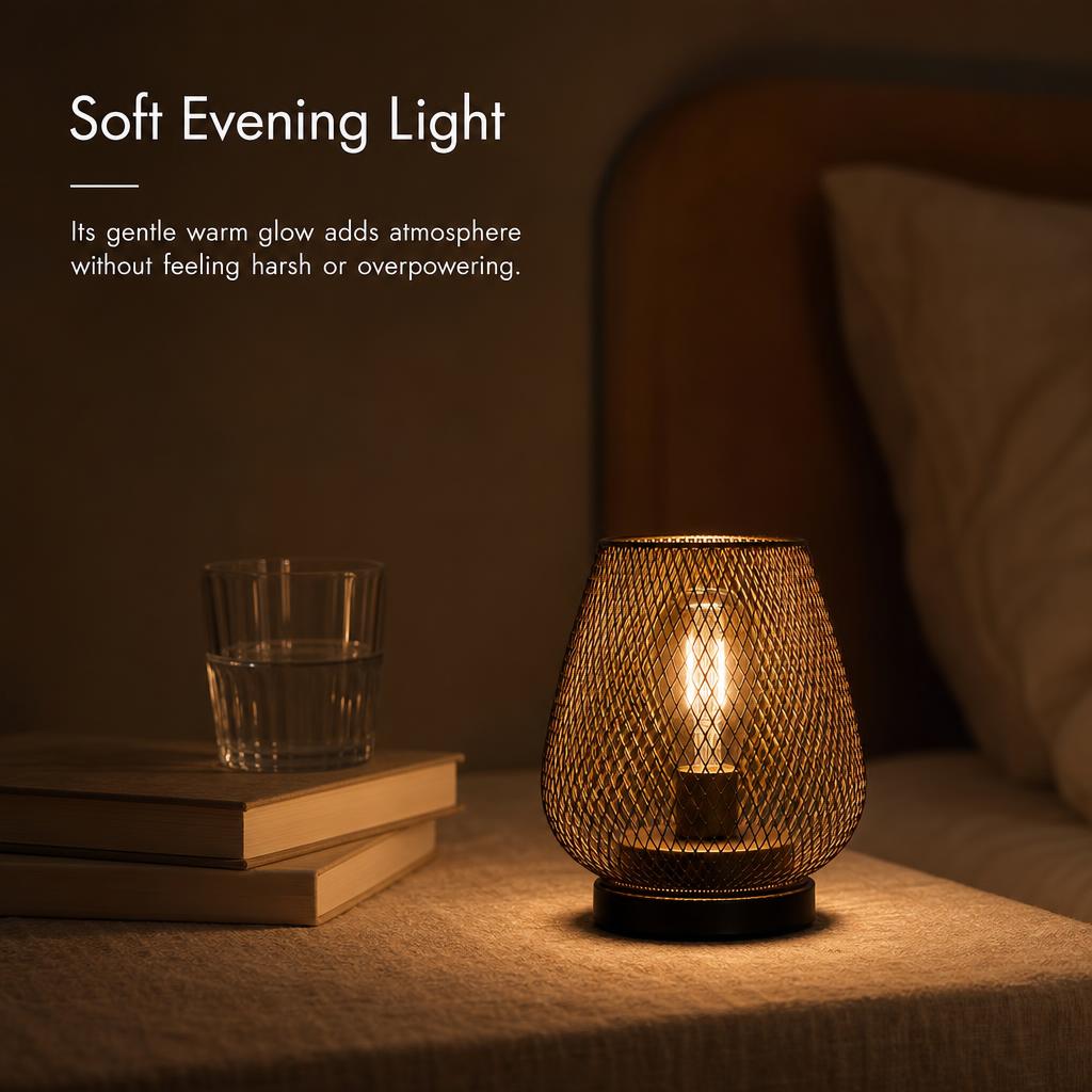 Industrial-style Birdcage Decorative Table Lamp