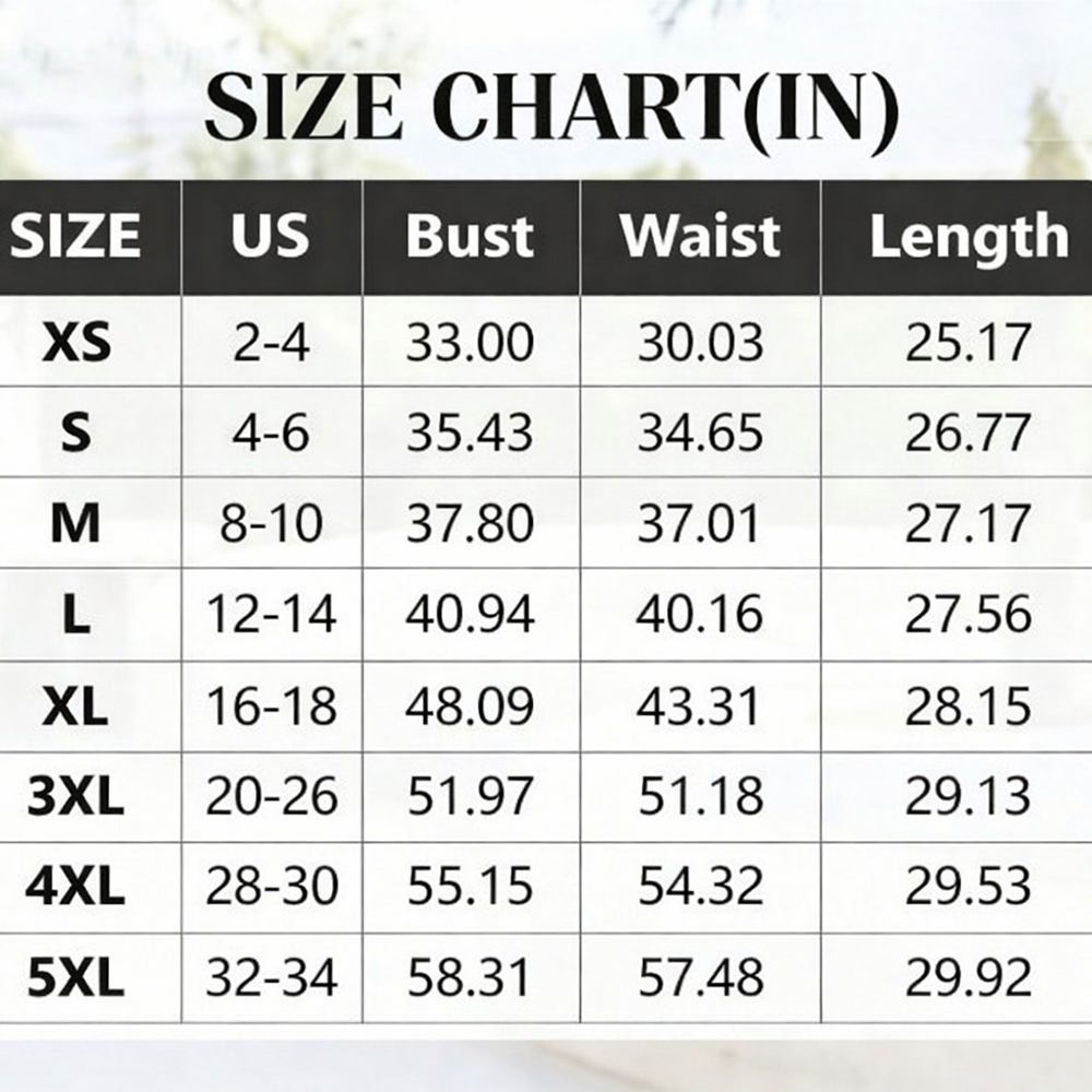 Women's Top Stripe Scalloped Trim Round Neck T Shirt