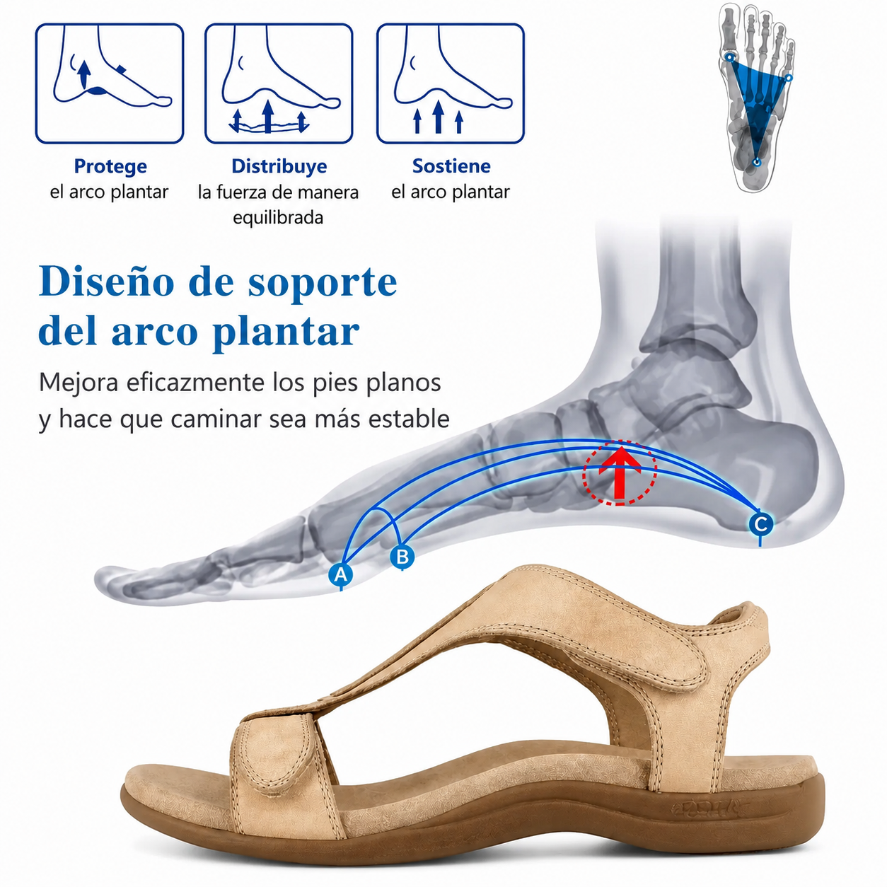 🔥ÚLTIMO DÍA -70 %🔥 Sandalias Ortopédicas de Cuña para Mujer | Diseñadas para Adaptarse a Tus Pies