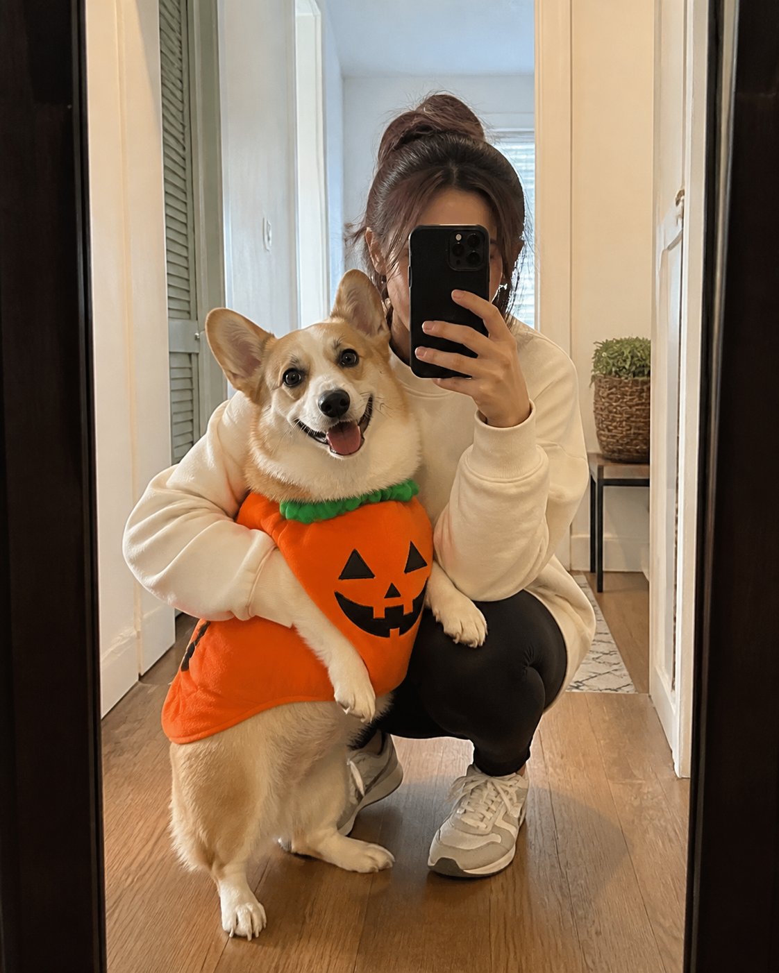 Pumpkin pet costume style inspiration: mirror moment
