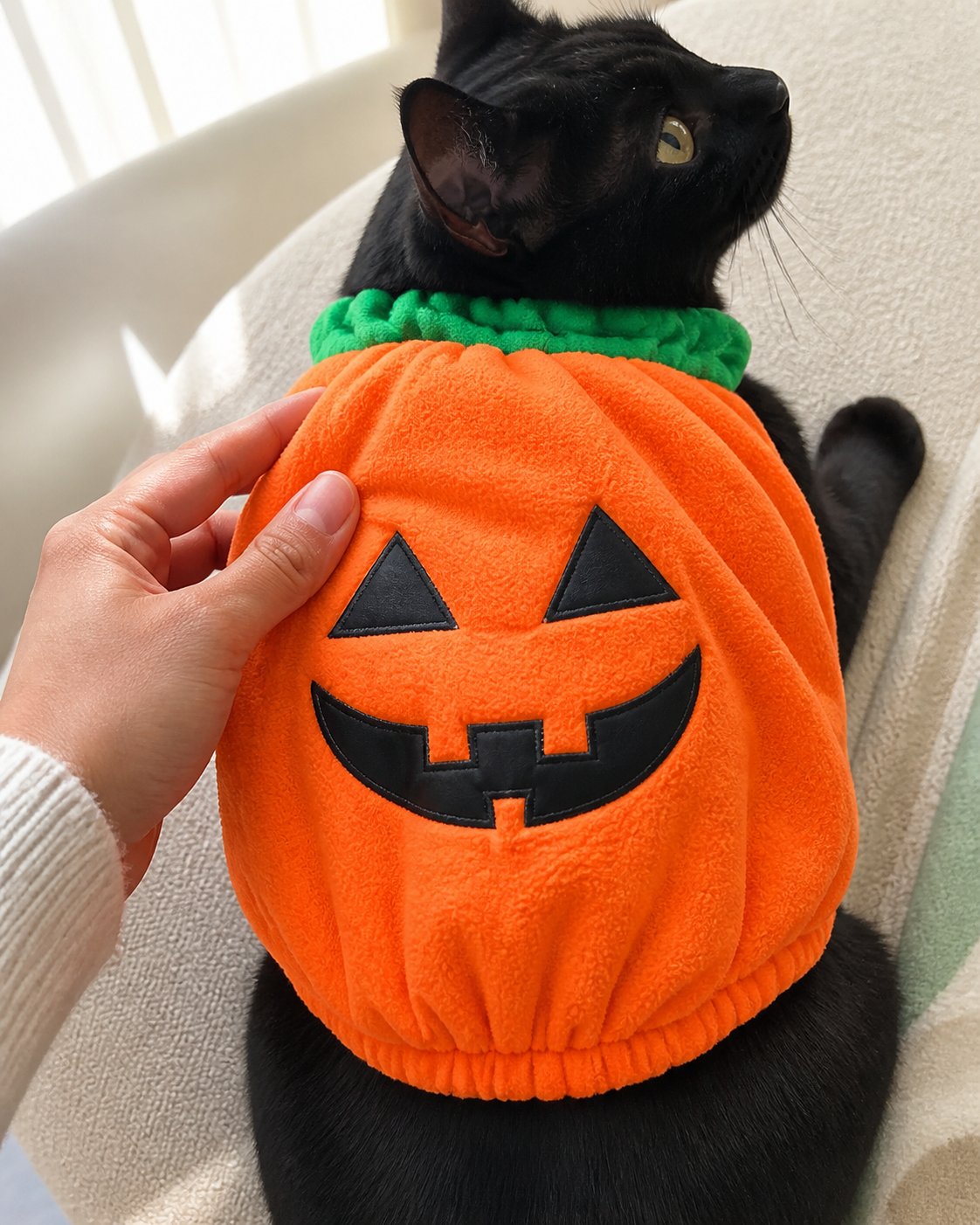Pumpkin pet costume style inspiration: elastic-edge detail