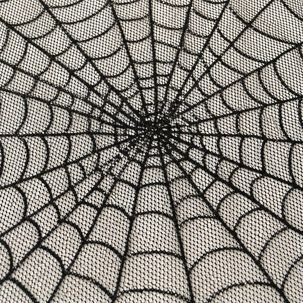 Close detail of the radial spiderweb pattern and open mesh