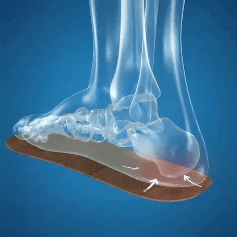 Concept de distribution de pression de la semelle intérieure animée
