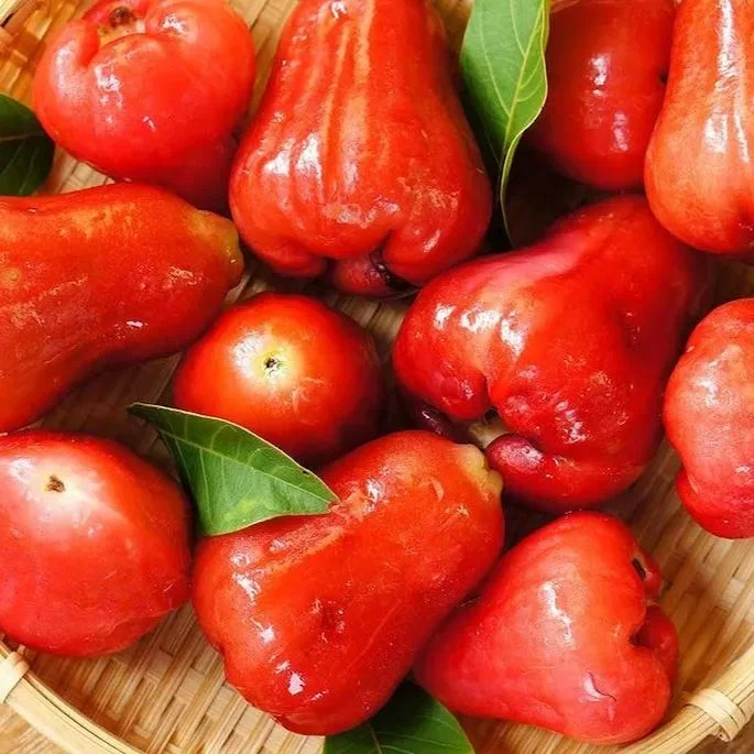 🍹Sweet, crispy, and juicy wax apple seeds🪴