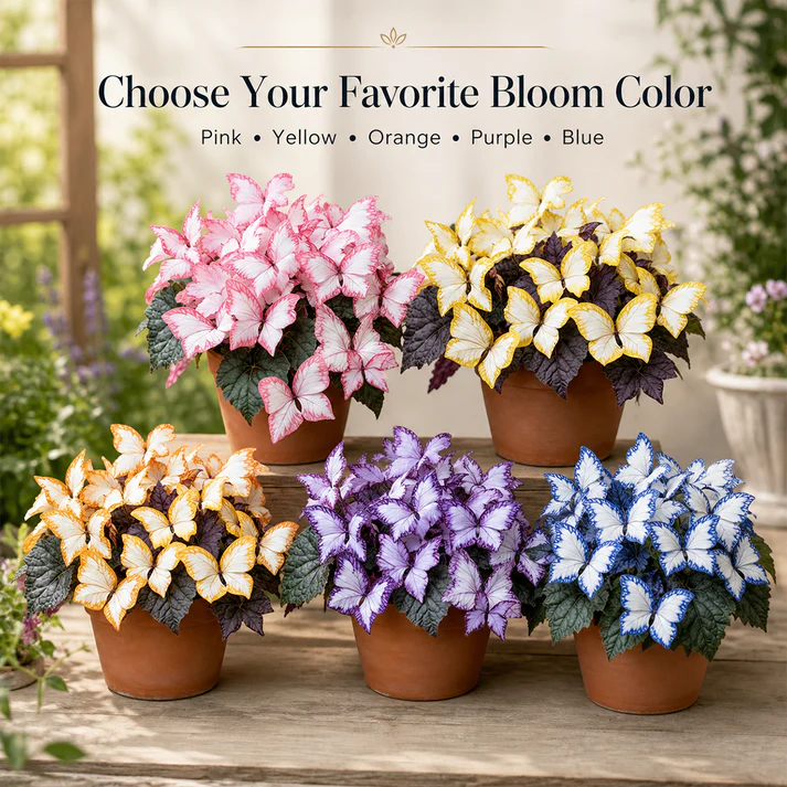 🦋🌈 Magical Butterfly Garden Bulbs🌸