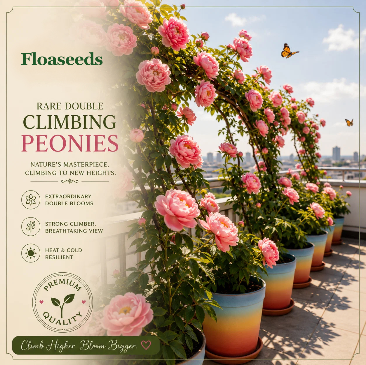 🌸 Rare Climbing Peony Bulbs🪴Big Full Blooms, Cold Hardy Perennial, Easy to Grow Garden Favorite