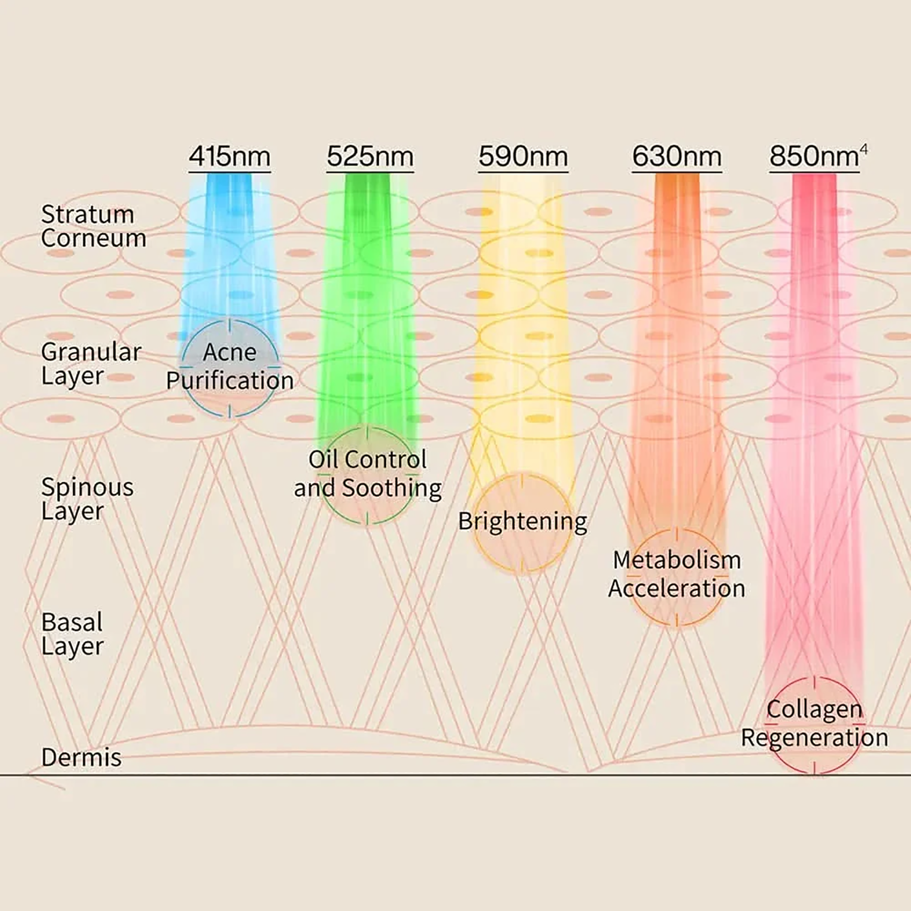 5-in-1 LED Light Therapy Facial Mask