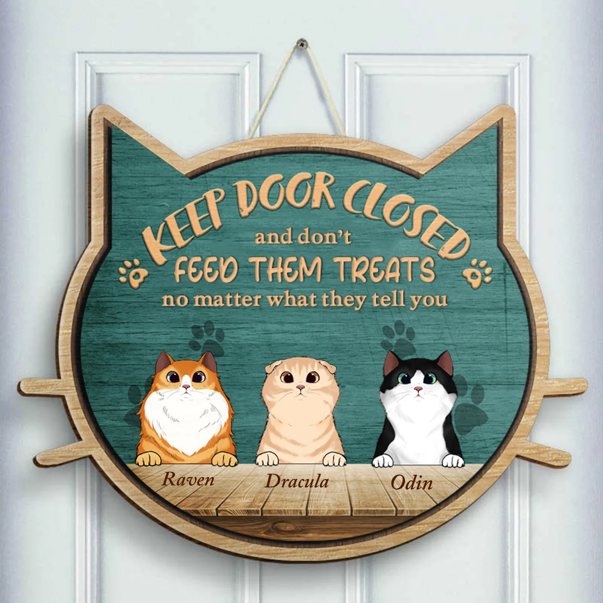 Customized Personalized Non-Standard Shaped Door Signs