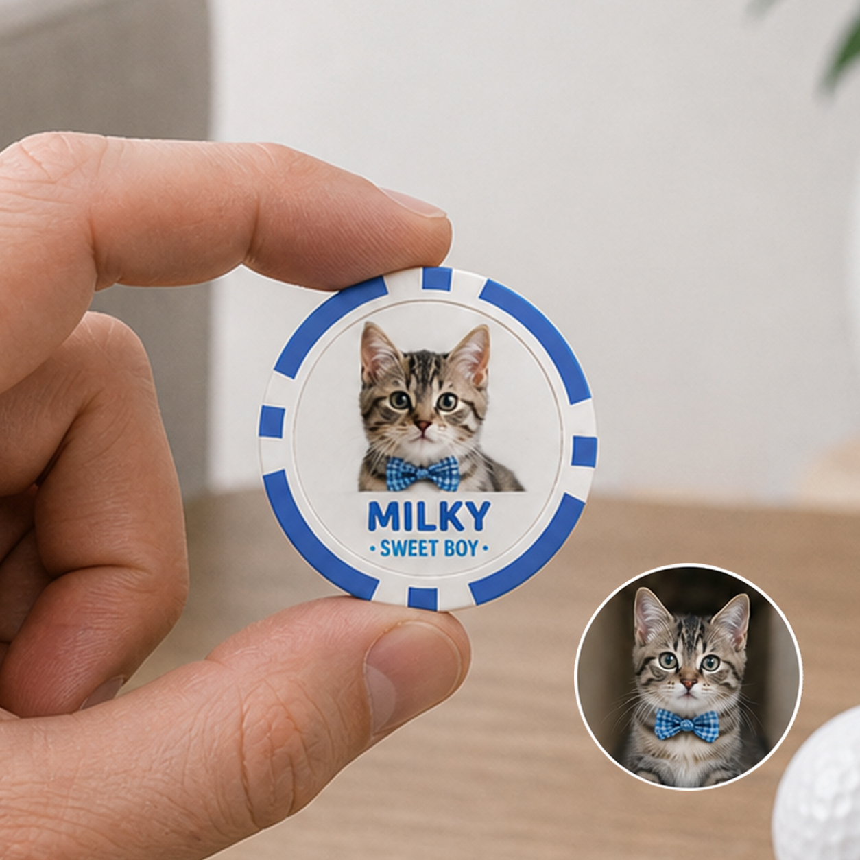 Custom Pet Game Chips Decision Maker Coin