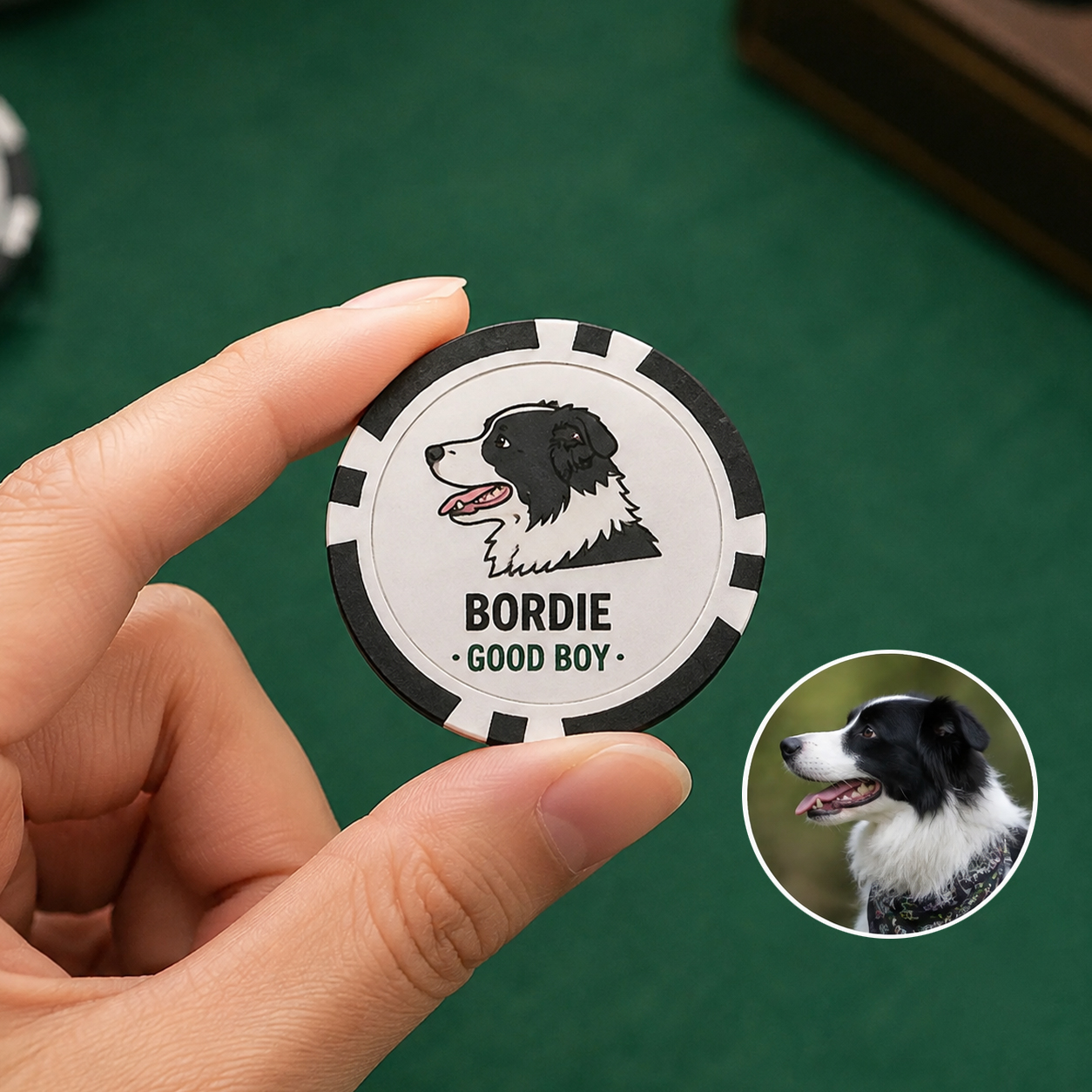 Custom Pet Game Chips Decision Maker Coin