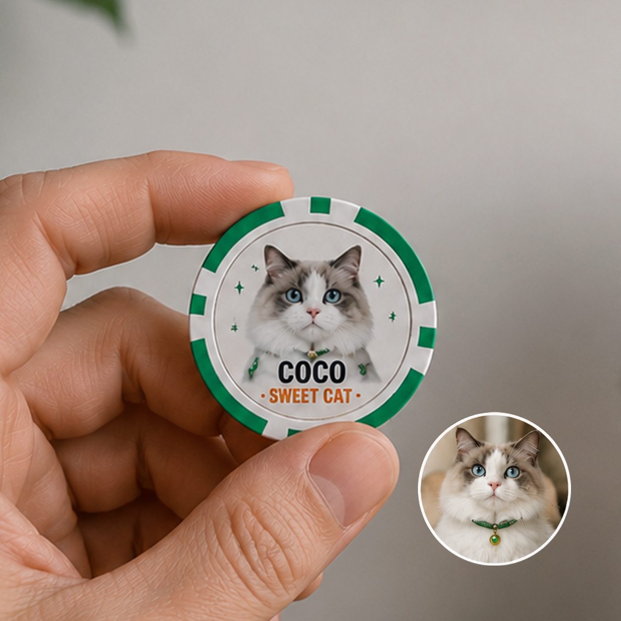 Custom Pet Game Chips Decision Maker Coin