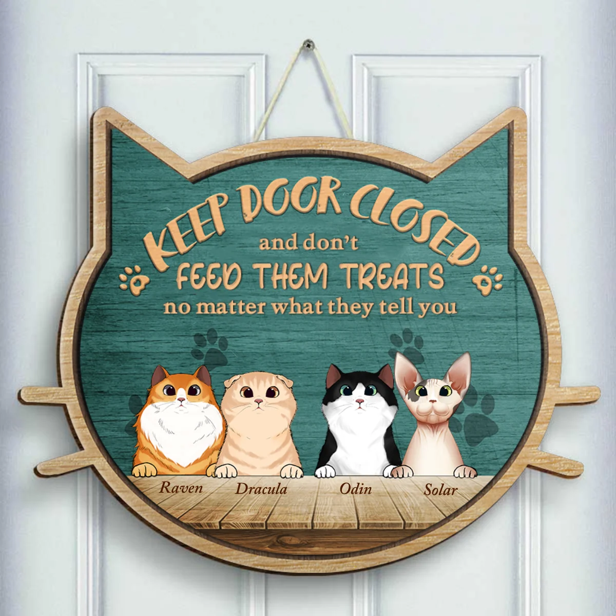 Customized Personalized Non-Standard Shaped Door Signs