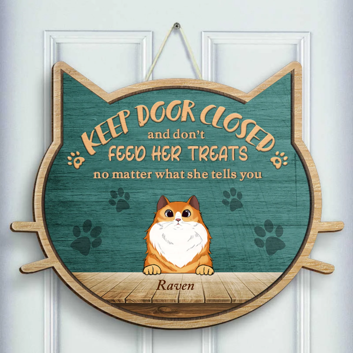 Customized Personalized Non-Standard Shaped Door Signs