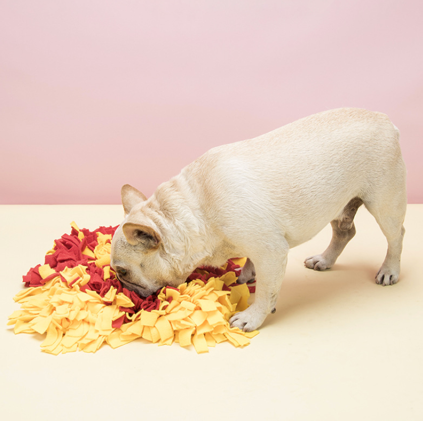 Snuffle Mat for Dogs - Interactive Sniffing Toy Feeding Mat