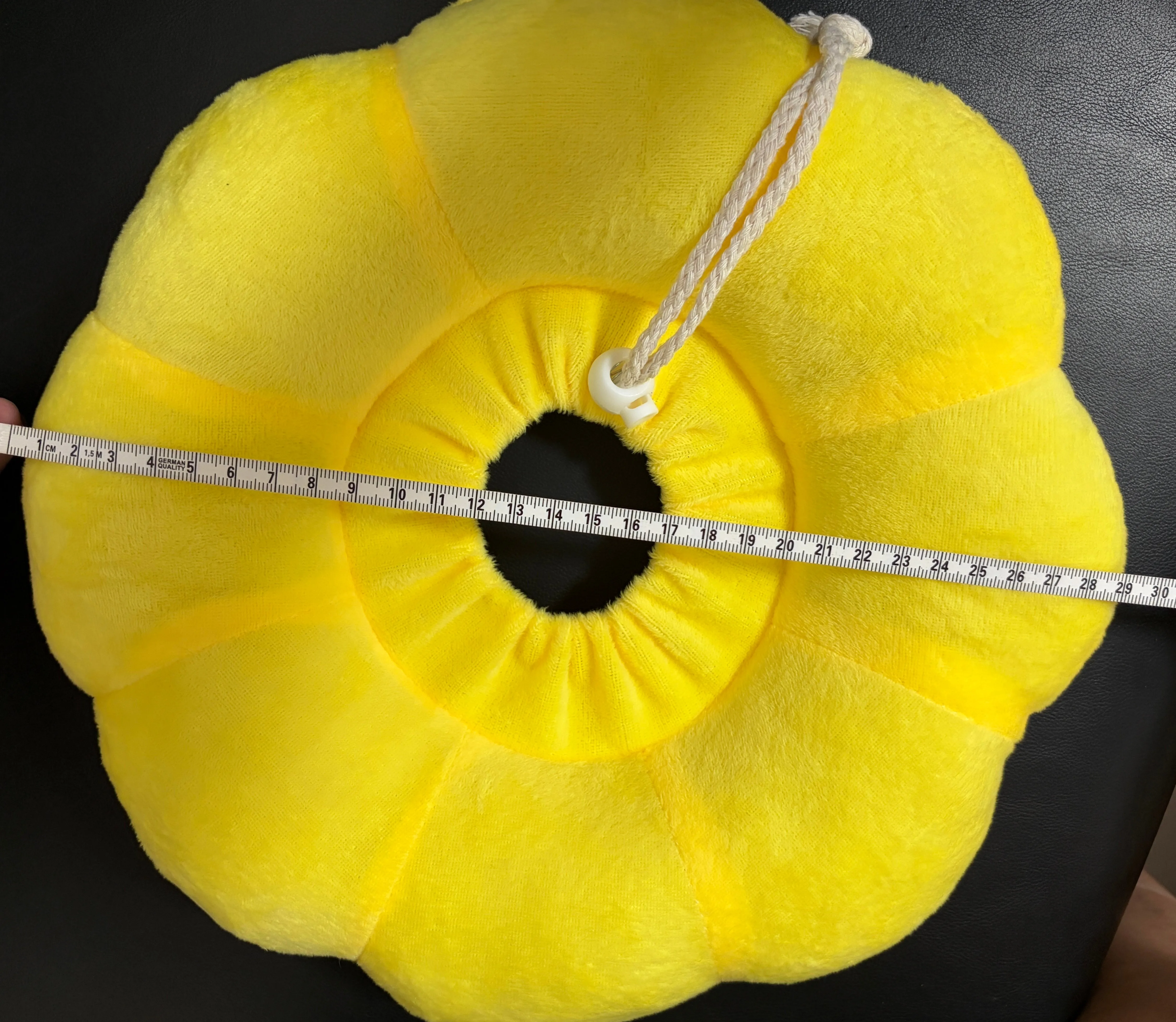 Sunflower recovery collar outer diameter measurement – 29 cm