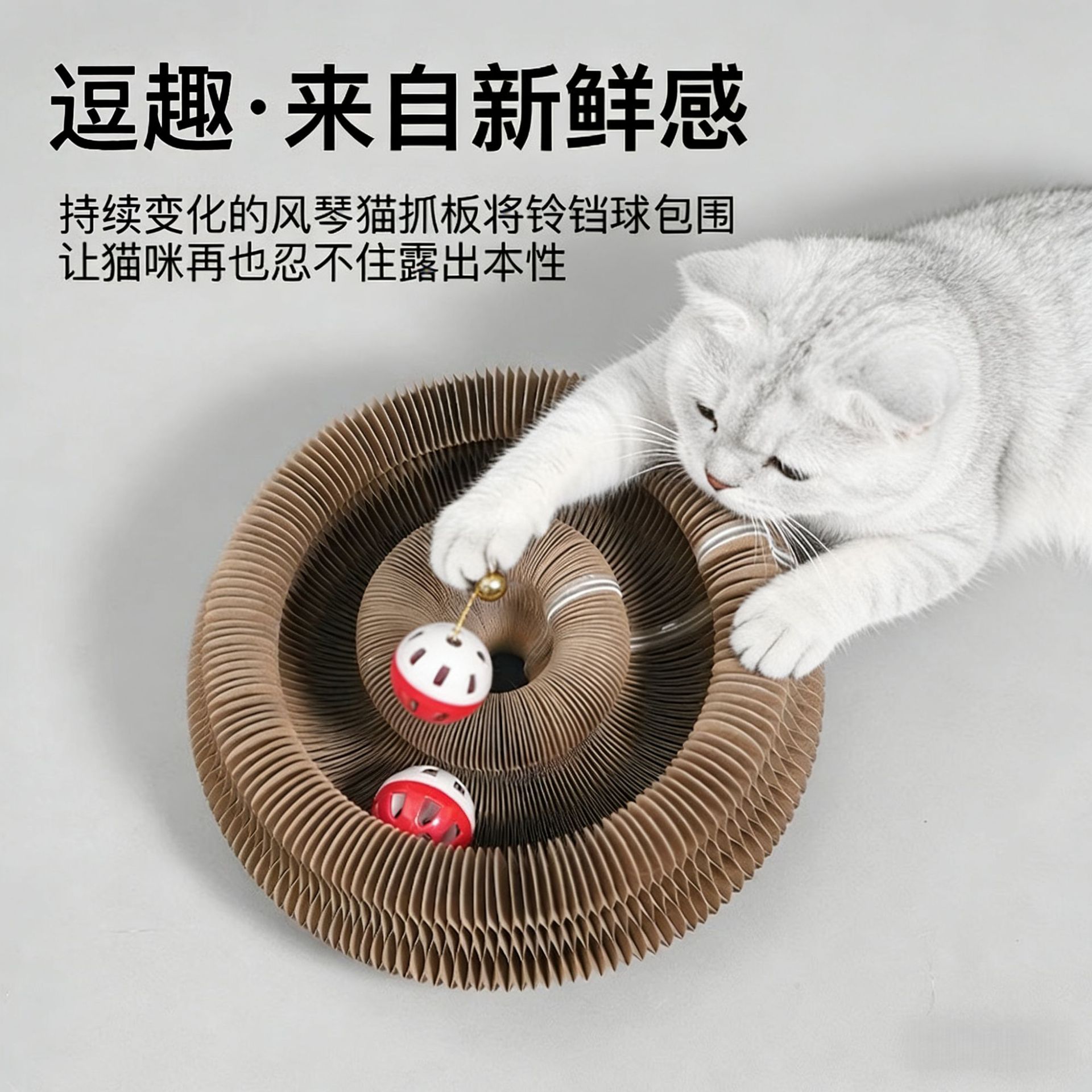 Accordion cat scratcher playing cat