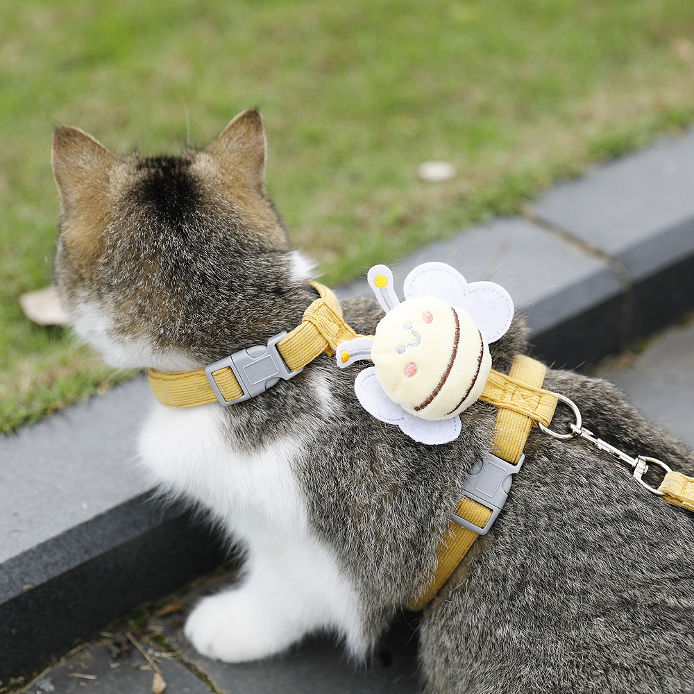 Cat wearing escape proof harness