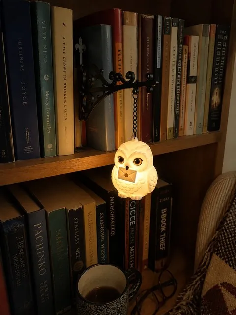 Owl light glowing from a bracket inserted between books in a lived-in reading corner