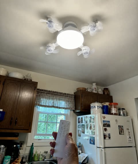 Photo accompanying Linda M.'s review