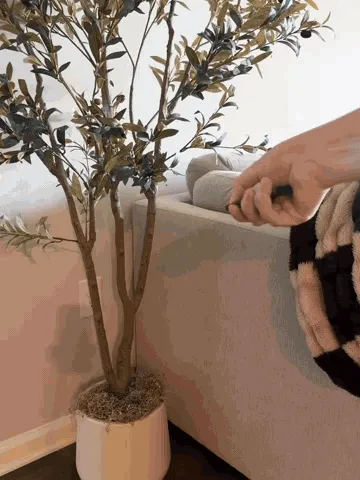 Wireless spotlight illuminating a plant and being adjusted with a remote