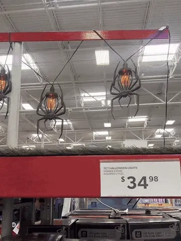Haunting Glow Spider or Bat Halloween String Lights – Set of 5 demonstration