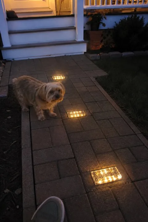 Warm glass brick lights along a front path at dusk