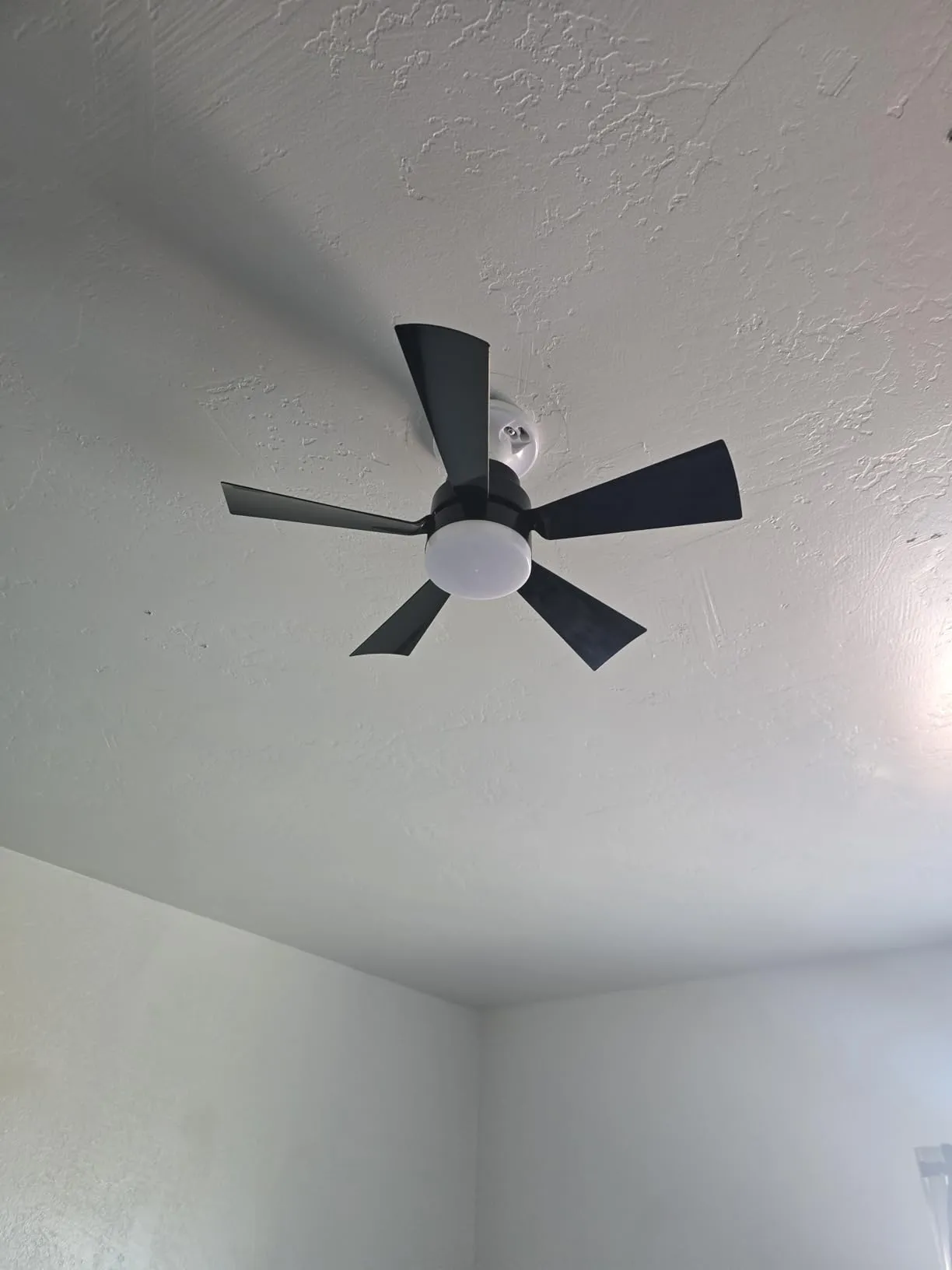 Customer product photo