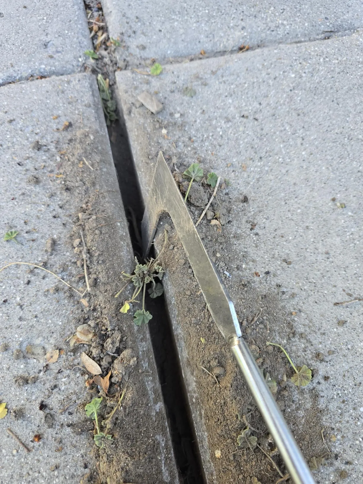 Photo accompanying Robert M.'s review