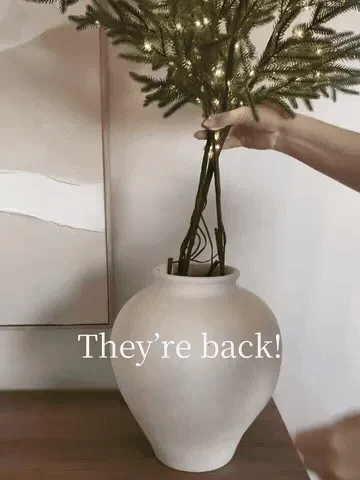 Flexible Norfolk pine stems being arranged and illuminated