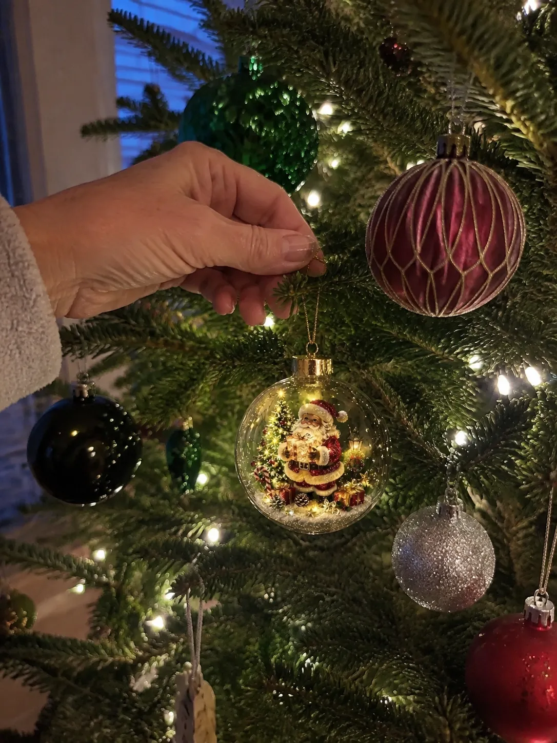 Santa ornament being hung on a family Christmas tree