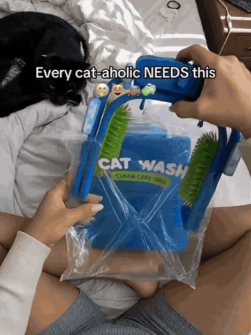 Cats using the freestanding grooming station