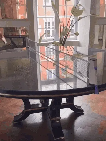 Instant-Play Retractable Table Tennis Net demonstration