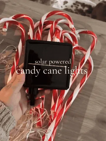 Solar candy cane pathway lights switching on