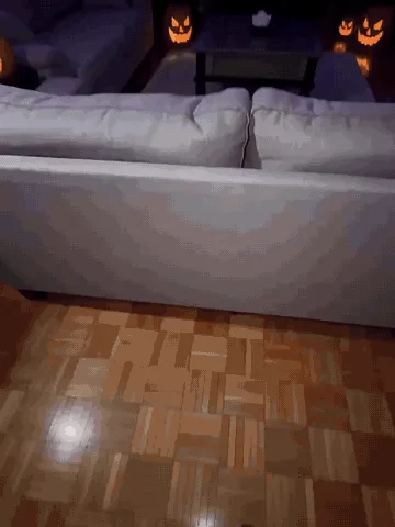 Spider web lights shown indoors and outdoors