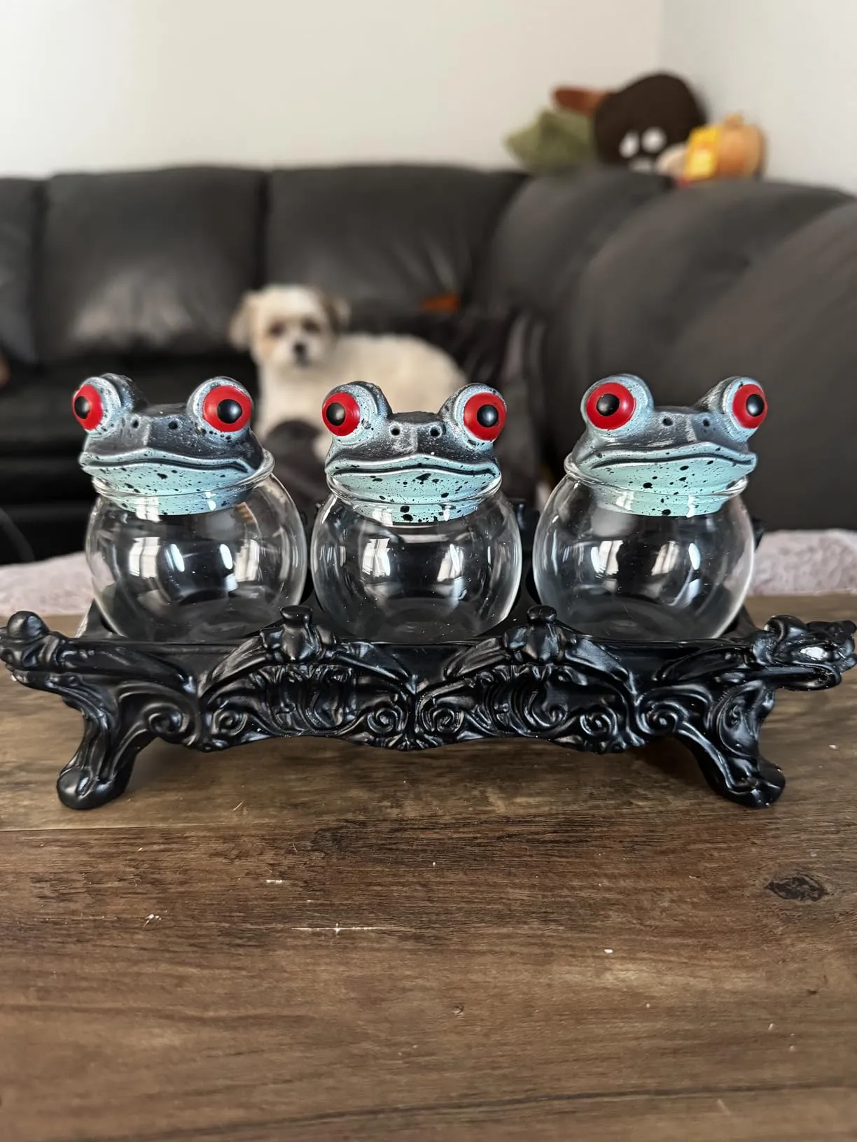 A whimsical purchase