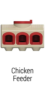 Chicken Feeder