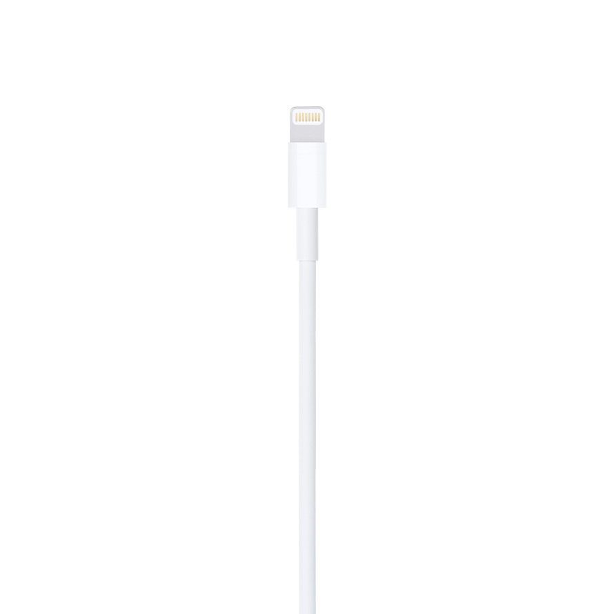 Câble Lightning vers USB (1 m)