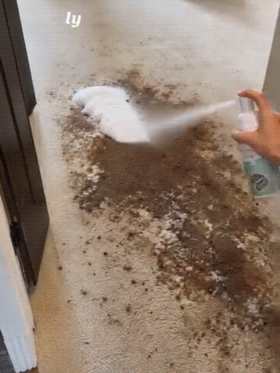 2026 Upgraded Waterless Carpet Foam Cleaner | Instant Stain‑Removing Carpet Spot Spray