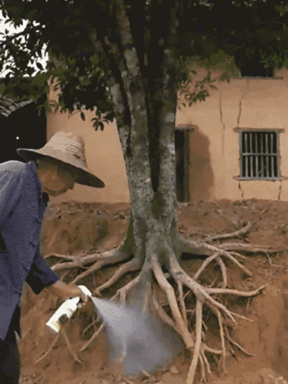 Special Spray Against Root Rot for Plants – Fast Elimination