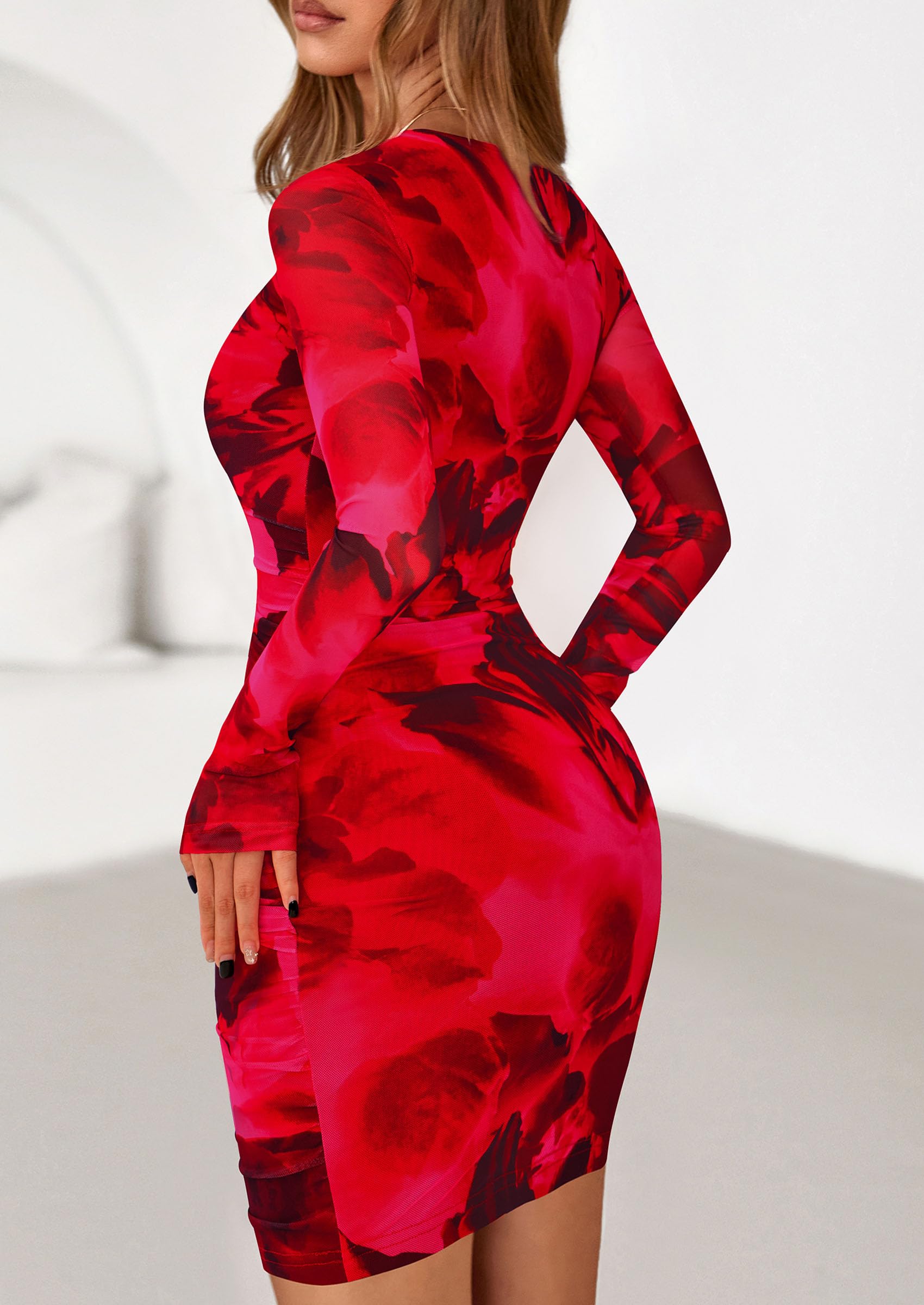 Mesh Mini Dresses for Women Long Sleeve Red Floral,XS