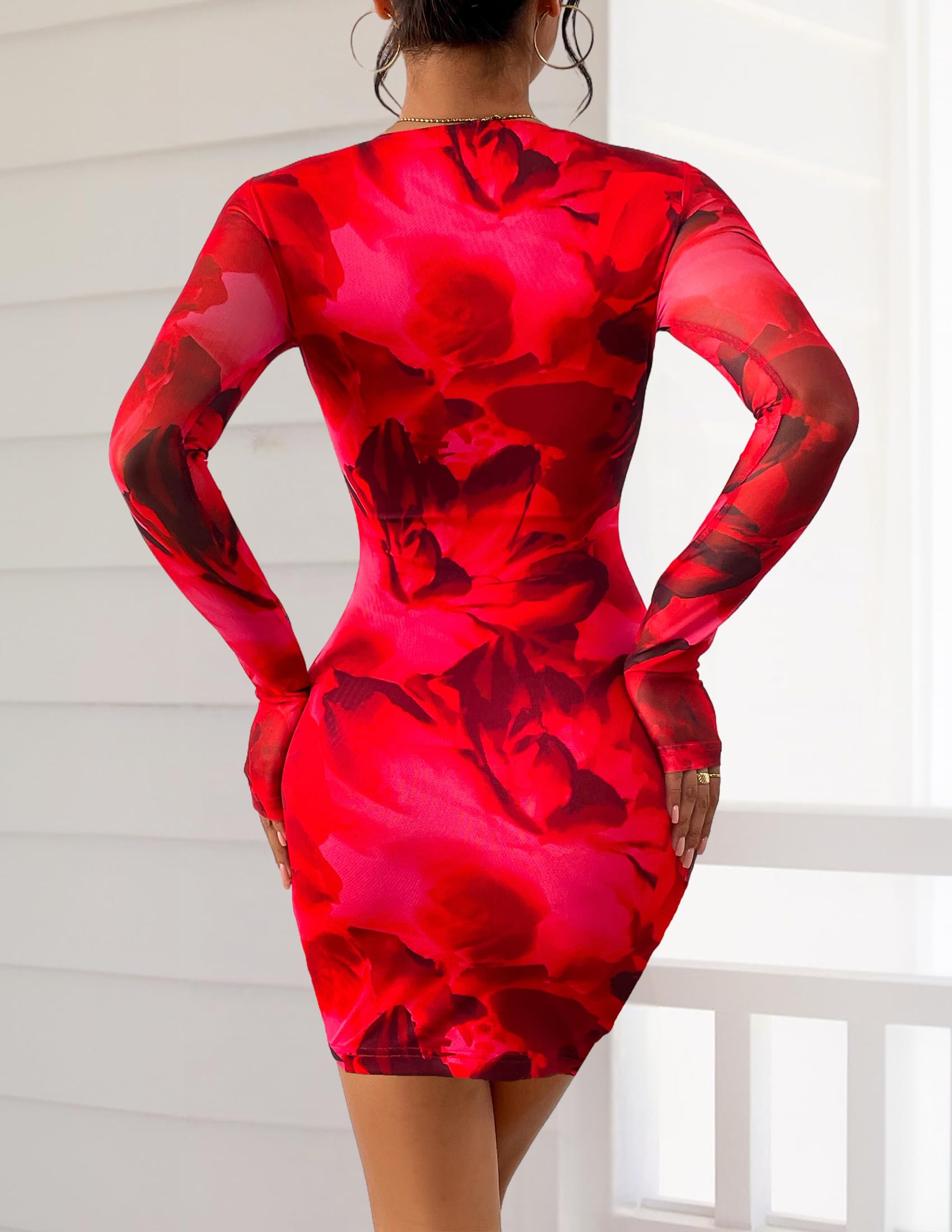 Mesh Mini Dresses for Women Long Sleeve Red Floral,XS