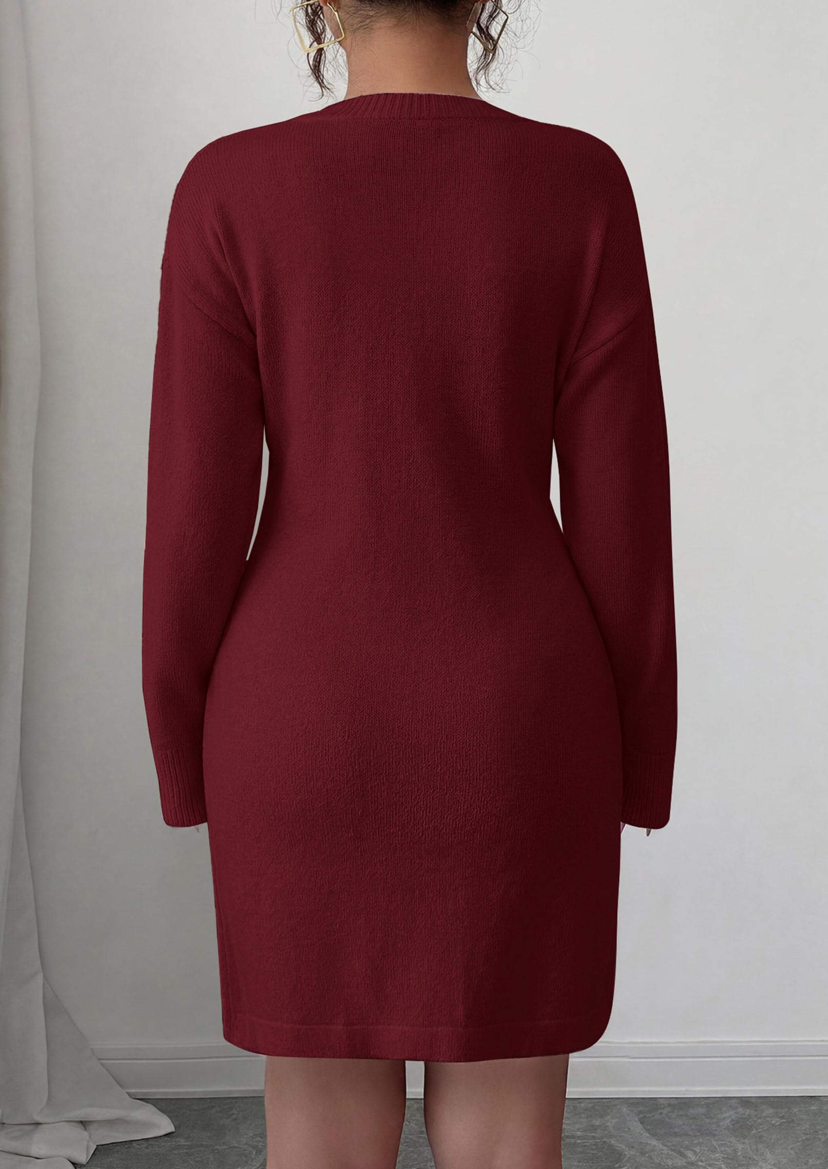 Women's Embroidered Long Sleeve Bodycon Mini Sweater Dress
