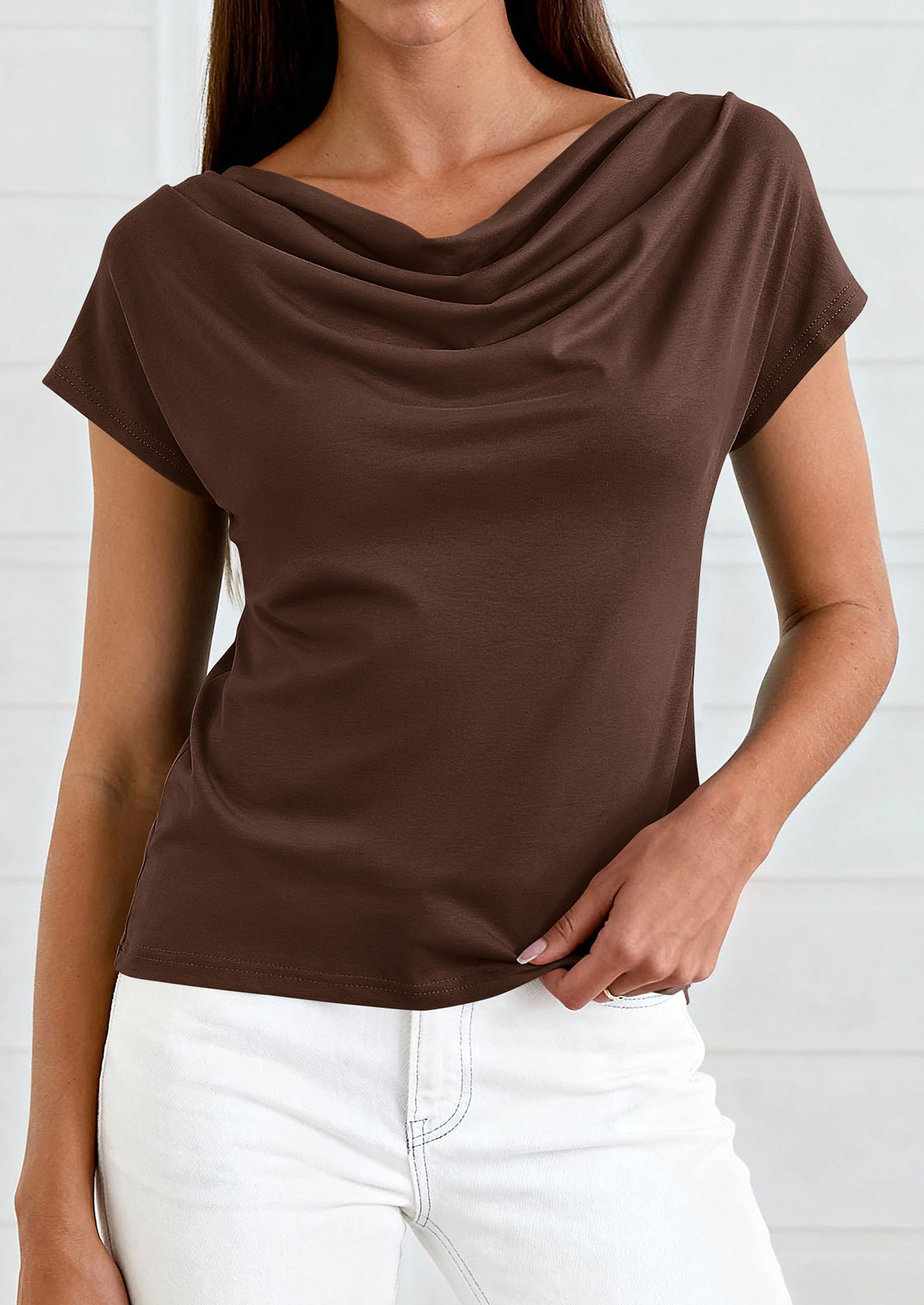Womens Tops Dressy Business Casual Work Blouses, Brown,XS