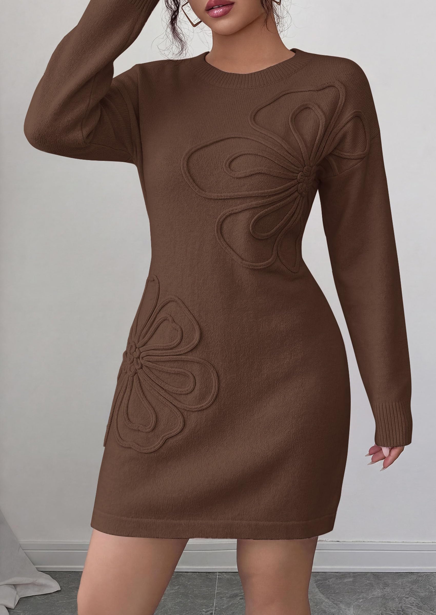Women's Embroidered Long Sleeve Bodycon Mini Sweater Dress