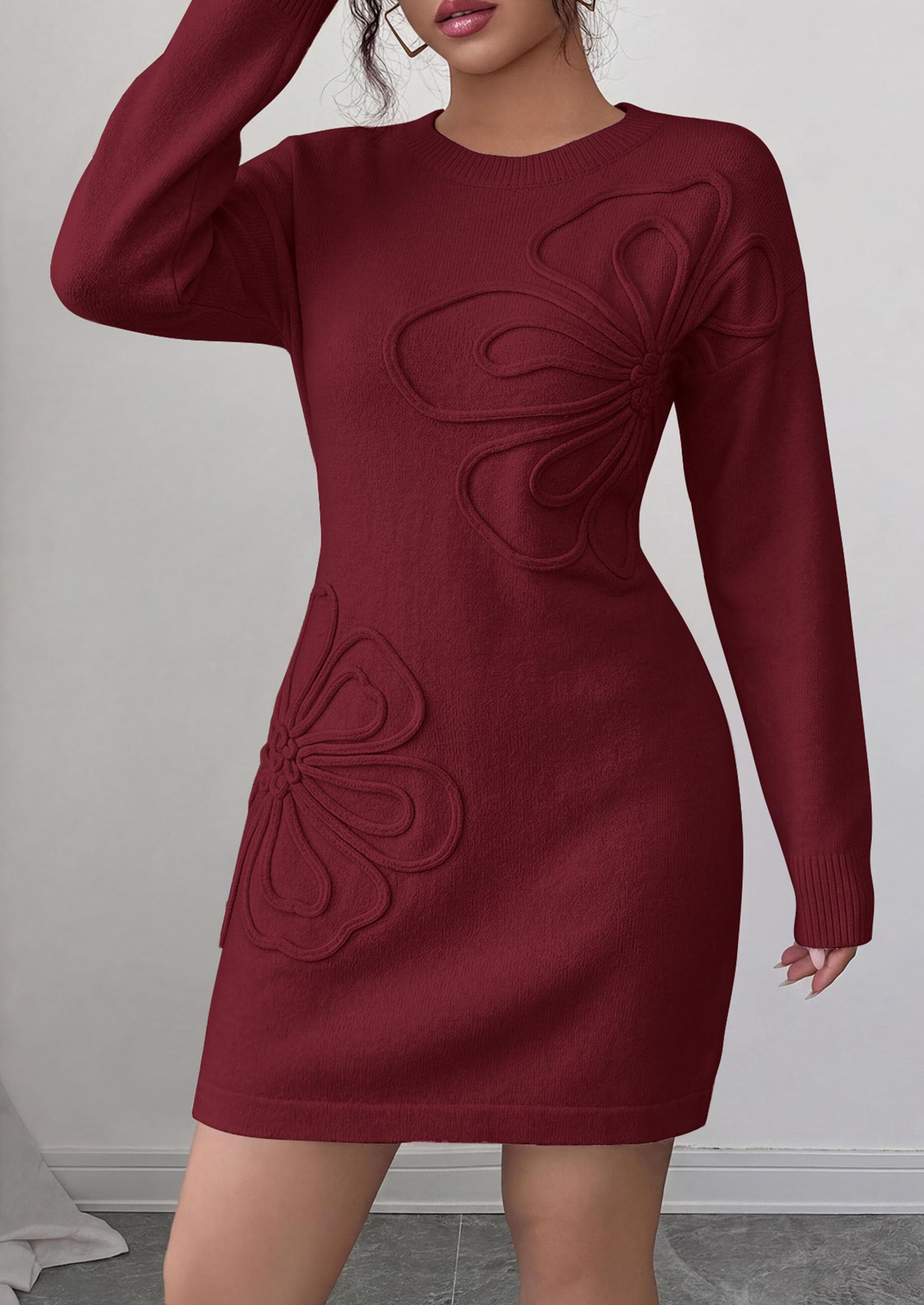 Women's Embroidered Long Sleeve Bodycon Mini Sweater Dress